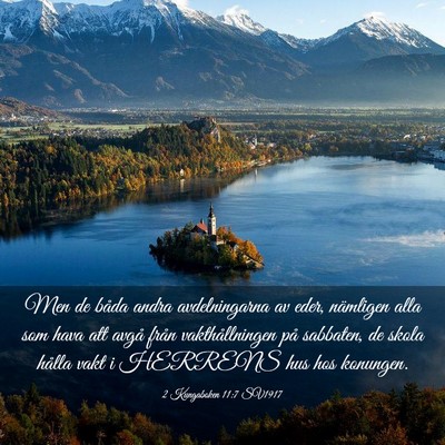 Picture 03 - 2 Kungaboken 11:7 SV1917 - Men de båda andra avdelningarna av eder, - Bible Verse Picture