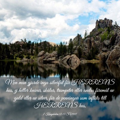 Picture 03 - 2 Kungaboken 12:13 SV1917 - Men man gjorde inga silverfat för HERRENS hus, - Bible Verse Picture