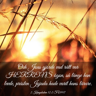 Picture 03 - 2 Kungaboken 12:2 SV1917 - Och Joas gjorde vad rätt var HERRENS ögon, så - Bible Verse Picture