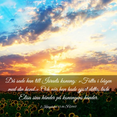Picture 03 - 2 Kungaboken 13:16 SV1917 - Då sade han till Israels konung: »Fatta i - Bible Verse Picture