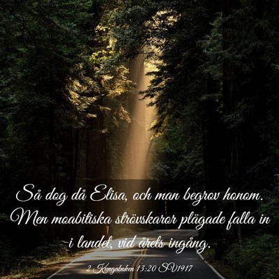 Picture 03 - 2 Kungaboken 13:20 SV1917 - Så dog då Elisa, och man begrov honom. Men - Bible Verse Picture