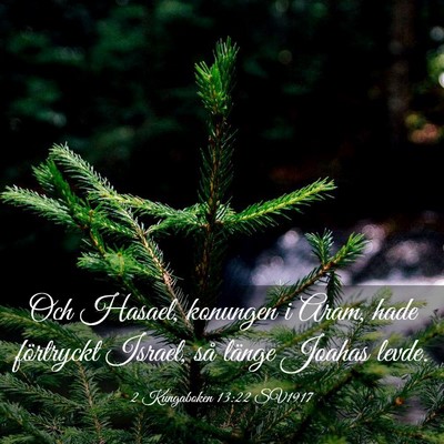 Picture 03 - 2 Kungaboken 13:22 SV1917 - Och Hasael, konungen i Aram, hade förtryckt - Bible Verse Picture