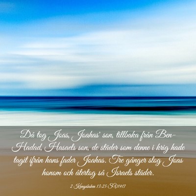 Picture 03 - 2 Kungaboken 13:25 SV1917 - Då tog Joas, Joahas' son, tillbaka från - Bible Verse Picture