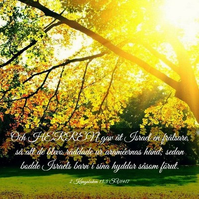 Picture 03 - 2 Kungaboken 13:5 SV1917 - Och HERREN gav åt Israel en frälsare, så att - Bible Verse Picture