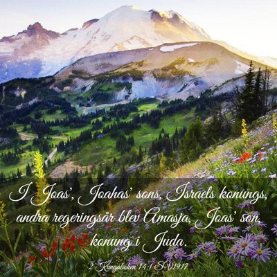 Picture 03 - 2 Kungaboken 14:1 SV1917 - I Joas', Joahas' sons, Israels konungs, andra - Bible Verse Picture
