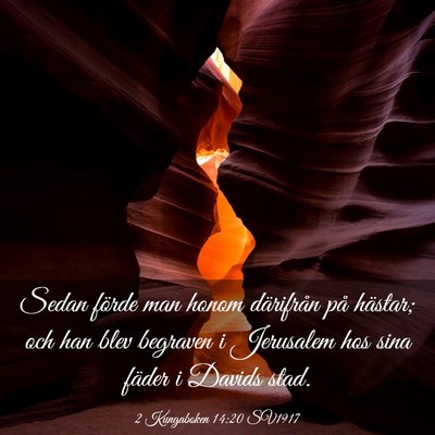 Picture 03 - 2 Kungaboken 14:20 SV1917 - Sedan förde man honom därifrån på hästar; - Bible Verse Picture