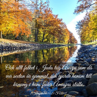 Picture 03 - 2 Kungaboken 14:21 SV1917 - Och allt folket i Juda tog Asarja som då var - Bible Verse Picture