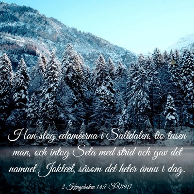 Picture 03 - 2 Kungaboken 14:7 SV1917 - Han slog edoméerna i Saltdalen, tio tusen man, - Bible Verse Picture