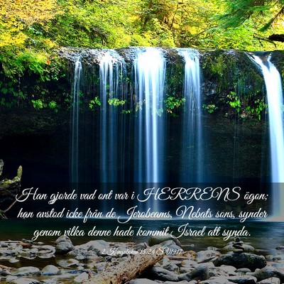 Picture 03 - 2 Kungaboken 15:24 SV1917 - Han gjorde vad ont var i HERRENS ögon; han - Bible Verse Picture