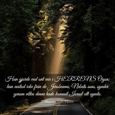 Picture 03 - 2 Kungaboken 15:28 SV1917 - Han gjorde vad ont var i HERRENS Ögon; han - Bible Verse Picture