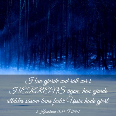 Picture 03 - 2 Kungaboken 15:34 SV1917 - Han gjorde vad rätt var i HERRENS ögon; han - Bible Verse Picture