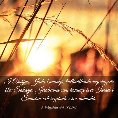Picture 03 - 2 Kungaboken 15:8 SV1917 - I Asarjas, Juda konungs, trettioåttonde - Bible Verse Picture