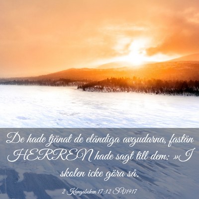 Picture 03 - 2 Kungaboken 17:12 SV1917 - De hade tjänat de eländiga avgudarna, fastän - Bible Verse Picture