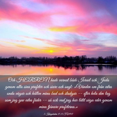 Picture 03 - 2 Kungaboken 17:13 SV1917 - Och HERREN hade varnat både Israel och Juda - Bible Verse Picture