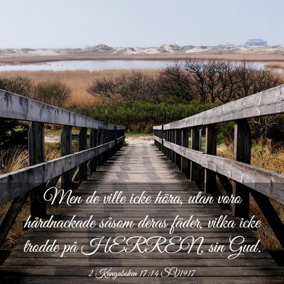 Picture 03 - 2 Kungaboken 17:14 SV1917 - Men de ville icke höra, utan voro hårdnackade - Bible Verse Picture