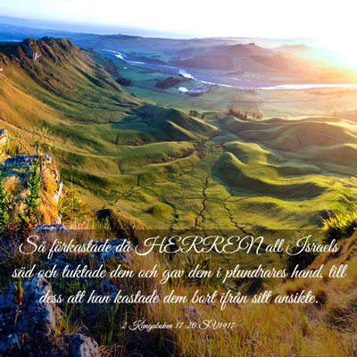 Picture 03 - 2 Kungaboken 17:20 SV1917 - Så förkastade då HERREN all Israels säd och - Bible Verse Picture