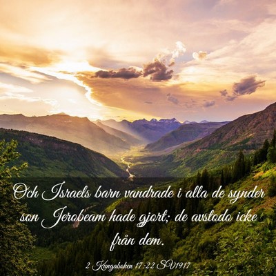 Picture 03 - 2 Kungaboken 17:22 SV1917 - Och Israels barn vandrade i alla de synder son - Bible Verse Picture