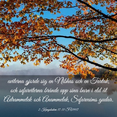 Picture 03 - 2 Kungaboken 17:31 SV1917 - aviterna gjorde sig en Nibhas och en Tartak, och - Bible Verse Picture