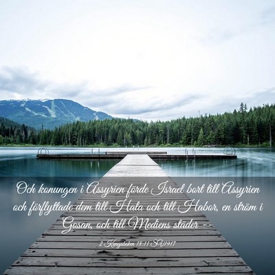 Picture 03 - 2 Kungaboken 18:11 SV1917 - Och konungen i Assyrien förde Israel bort till - Bible Verse Picture