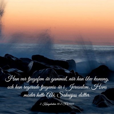 Picture 03 - 2 Kungaboken 18:2 SV1917 - Han var tjugufem år gammal, när han blev - Bible Verse Picture