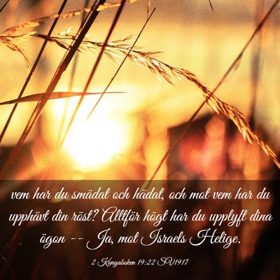 Picture 03 - 2 Kungaboken 19:22 SV1917 - vem har du smädat och hädat, och mot vem har du - Bible Verse Picture