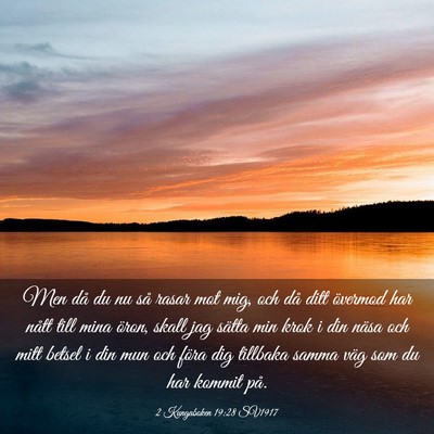 Picture 03 - 2 Kungaboken 19:28 SV1917 - Men då du nu så rasar mot mig, och då ditt - Bible Verse Picture
