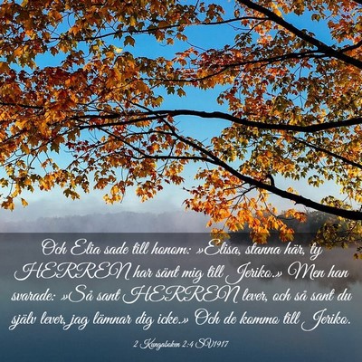 Picture 03 - 2 Kungaboken 2:4 SV1917 - Och Elia sade till honom: »Elisa, stanna här, - Bible Verse Picture
