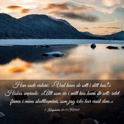 Picture 03 - 2 Kungaboken 20:15 SV1917 - Han sade vidare: »Vad hava de sett i ditt hus?» - Bible Verse Picture