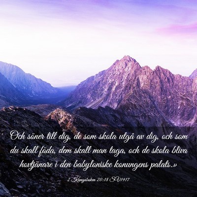 Picture 03 - 2 Kungaboken 20:18 SV1917 - Och söner till dig, de som skola utgå av dig, - Bible Verse Picture