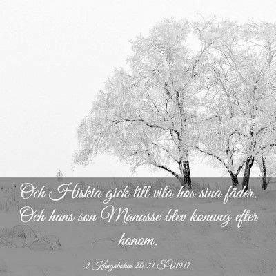 Picture 03 - 2 Kungaboken 20:21 SV1917 - Och Hiskia gick till vila hos sina fäder. Och - Bible Verse Picture