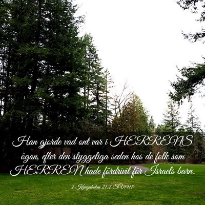 Picture 03 - 2 Kungaboken 21:2 SV1917 - Han gjorde vad ont var i HERRENS ögon, efter den - Bible Verse Picture