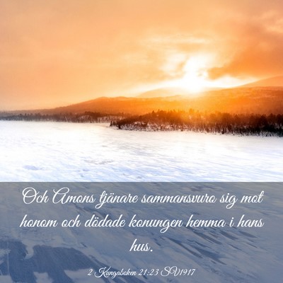 Picture 03 - 2 Kungaboken 21:23 SV1917 - Och Amons tjänare sammansvuro sig mot honom och - Bible Verse Picture
