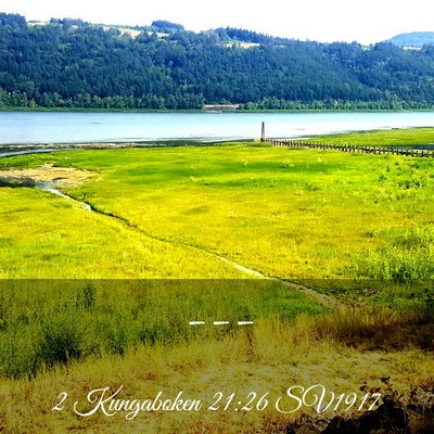Picture 03 - 2 Kungaboken 21:26 SV1917 -  - Bible Verse Picture