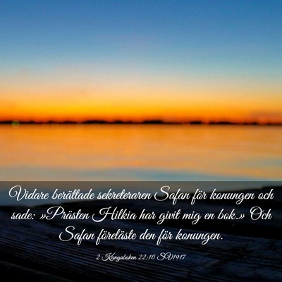 Picture 03 - 2 Kungaboken 22:10 SV1917 - Vidare berättade sekreteraren Safan för - Bible Verse Picture