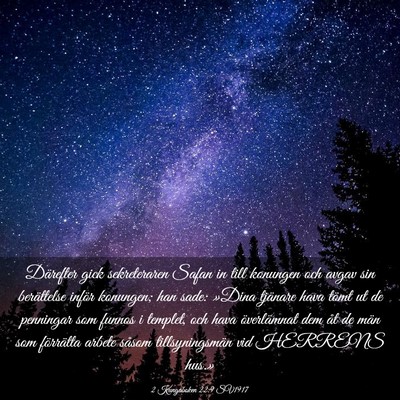 Picture 03 - 2 Kungaboken 22:9 SV1917 - Därefter gick sekreteraren Safan in till - Bible Verse Picture