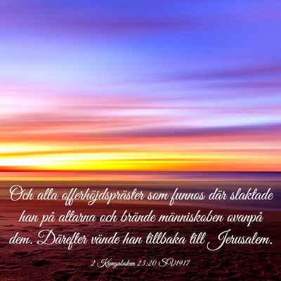 Picture 03 - 2 Kungaboken 23:20 SV1917 - Och alla offerhöjdspräster som funnos där - Bible Verse Picture