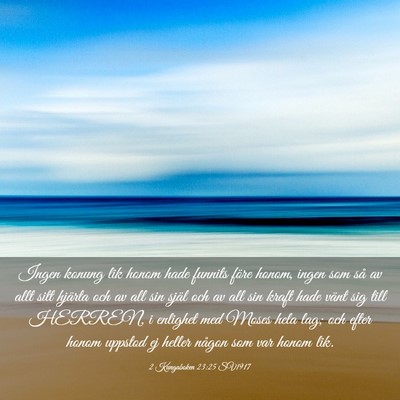 Picture 03 - 2 Kungaboken 23:25 SV1917 - Ingen konung lik honom hade funnits före honom, - Bible Verse Picture