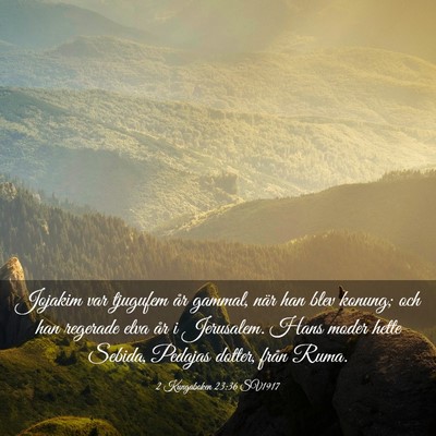 Picture 03 - 2 Kungaboken 23:36 SV1917 - Jojakim var tjugufem år gammal, när han blev - Bible Verse Picture