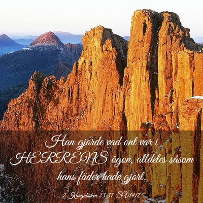 Picture 03 - 2 Kungaboken 23:37 SV1917 - Han gjorde vad ont var i HERRENS ögon, alldeles - Bible Verse Picture