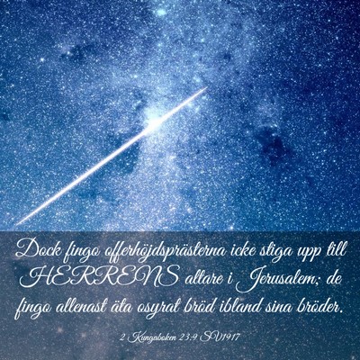 Picture 03 - 2 Kungaboken 23:9 SV1917 - Dock fingo offerhöjdsprästerna icke stiga upp - Bible Verse Picture
