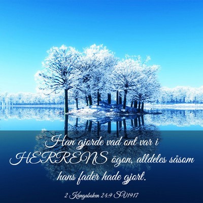 Picture 03 - 2 Kungaboken 24:9 SV1917 - Han gjorde vad ont var i HERRENS ögon, alldeles - Bible Verse Picture