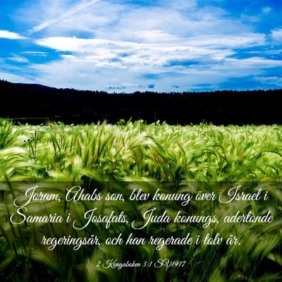 Picture 03 - 2 Kungaboken 3:1 SV1917 - Joram, Ahabs son, blev konung över Israel i - Bible Verse Picture