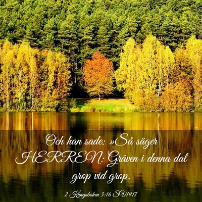 Picture 03 - 2 Kungaboken 3:16 SV1917 - Och han sade: »Så säger HERREN: Gräven i - Bible Verse Picture