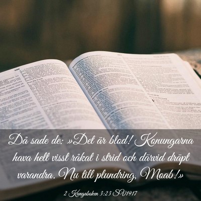 Picture 03 - 2 Kungaboken 3:23 SV1917 - Då sade de: »Det är blod! Konungarna hava helt - Bible Verse Picture