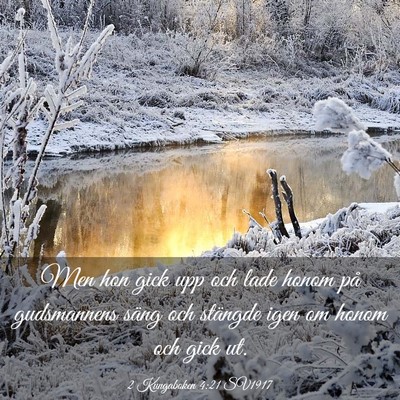 Picture 03 - 2 Kungaboken 4:21 SV1917 - Men hon gick upp och lade honom på gudsmannens - Bible Verse Picture