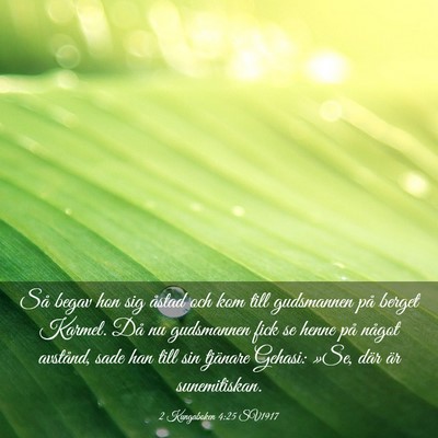 Picture 03 - 2 Kungaboken 4:25 SV1917 - Så begav hon sig åstad och kom till gudsmannen - Bible Verse Picture