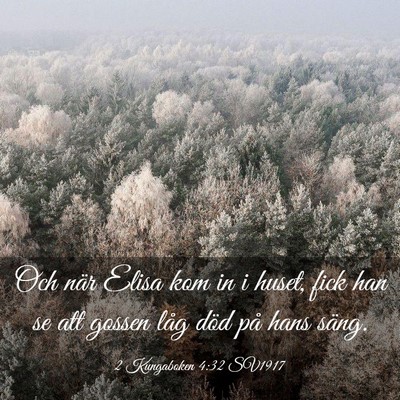Picture 03 - 2 Kungaboken 4:32 SV1917 - Och när Elisa kom in i huset, fick han se att - Bible Verse Picture