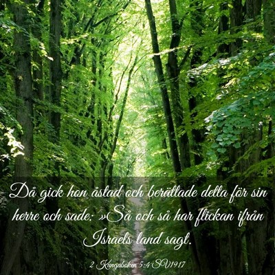 Picture 03 - 2 Kungaboken 5:4 SV1917 - Då gick hon åstad och berättade detta för sin - Bible Verse Picture