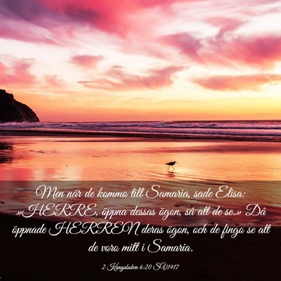 Picture 03 - 2 Kungaboken 6:20 SV1917 - Men när de kommo till Samaria, sade Elisa: - Bible Verse Picture