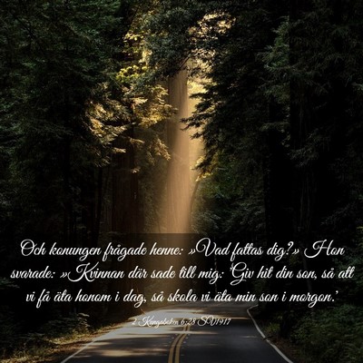 Picture 03 - 2 Kungaboken 6:28 SV1917 - Och konungen frågade henne: »Vad fattas dig?» - Bible Verse Picture